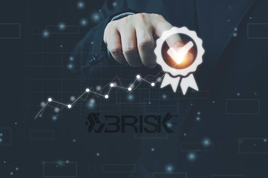 BriskPPM Expert Consultant